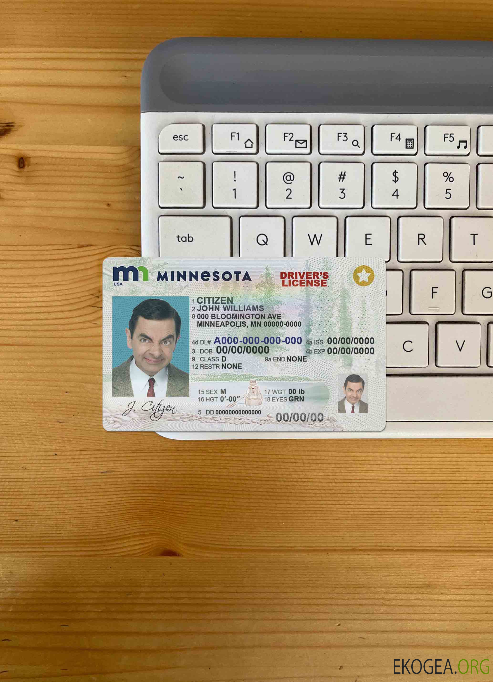 USA Minnesota DL photolook AVANT